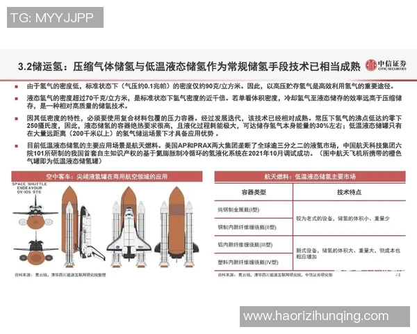 北京篮球队近期状态分析与表现评估全景解读